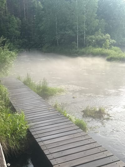 The image shows a wooden boardwalk running alongside a body of water that appears to be a river or stream. The water is partially obscured by a light mist or fog, giving the scene a serene, possibly early morning or damp weather feel. Dense green foliage, including trees and grasses, lines the banks of the water and borders the boardwalk. In the background, the mist thins to reveal a wooded area with tall trees, some of which appear to be birch due to their light bark. A tall, dark metal pylon, possibly part of an electrical transmission tower, is visible amongst the trees on the left side of the image. The boardwalk is made of weathered wooden planks and has a railing, suggesting it is a constructed path for pedestrian use. The overall impression is one of a natural, tranquil setting, perhaps a park or a nature trail. No people are visible in the image. The lighting suggests it is daytime, but the mist and the dense canopy of trees create a subdued illumination.