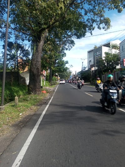 The image depicts a street scene in the city of Phonengam, Laos, under a partly cloudy sky. The perspective is low, looking down a two-lane asphalt road.

In the foreground, on the left, a large, dark-barked tree with a dense green canopy stands prominently, partially obscuring the sky. A dark utility pole is situated to its left. A narrow grassy verge borders the road on the left, containing a small, light-colored concrete marker post near the bottom left corner. Behind the verge, a stone wall with a dark base and lighter top section runs parallel to the road, with dense green foliage visible behind it. A red plastic bag is present on the ground near the base of the large tree.

The asphalt road extends into the midground, marked by a solid white line along its left edge. Numerous motorcycles and scooters are traveling in both directions. Closest to the camera on the right side of the road, a dark scooter with a rider wearing a dark helmet with a green stripe is visible in motion. Other motorcyclists, wearing various colored helmets including yellow and black, are visible further down the road. A white car, possibly an SUV or minivan, is traveling away from the viewer in the distance. Shadows from the overhead trees are cast across the road surface.

In the background, on the right side of the road, a modern, multi-story white building with text "Agung Kesturi" visible on its facade stands. Power lines and utility poles are strung along this side of the street, connecting to other less distinct buildings and trees further down the road. The sky is light blue with scattered white clouds. The overall scene indicates active vehicular traffic in an urban or semi-urban environment during daylight hours.