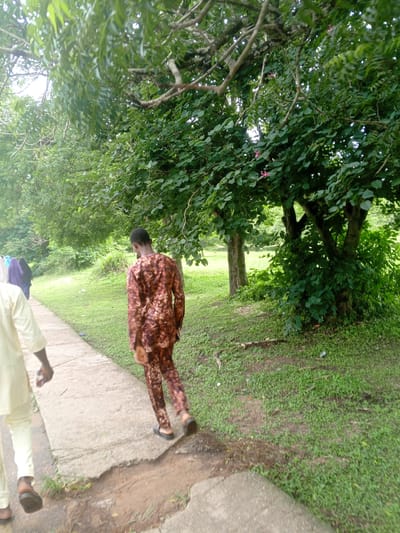 In the city of Ife, Nigeria, a young Black male, dressed in a brown patterned traditional African attire consisting of a long-sleeved top and matching trousers, walks away from the camera on a paved pathway. His footwear appears to be black sandals. To his left, on the pathway, is another person, partially visible and out of focus, wearing a cream-colored traditional African garment. Further down the pathway, to the left, two other figures are seen walking away, one in a purple headscarf and dark clothing, and another in a light-colored headscarf and blue clothing. The pathway is bordered by a lush green grassy area with a large tree dominating the right side of the frame. The tree has a thick trunk and branches laden with dark green leaves. The background shows more greenery, suggesting a park or natural outdoor setting. The lighting indicates it is daytime, possibly overcast given the soft illumination.