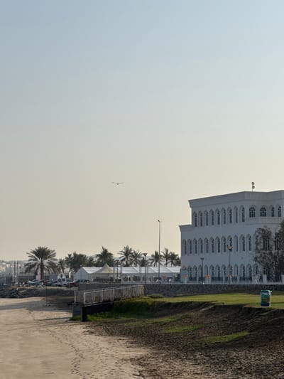 A daytime beach scene features a light sky where a bird flies. A large white building sits at the top left. Palm trees line the coast near tents. The ground transitions from a sandy beach to a green strip and then to a dark barrier along the right.