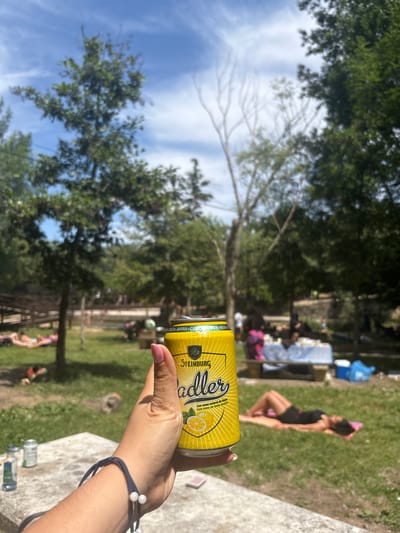 In the foreground, a woman's hand, adorned with pink nail polish and a blue beaded bracelet, holds a yellow can of Steinburg Radler beer. The can features a graphic of a lemon and text in Spanish and Portuguese. In the background, a sun-drenched park setting unfolds with lush green grass and trees under a bright blue sky with scattered clouds. Several people are visible lounging on towels in the grass, some appearing to sunbathe. A picnic table covered with a blue and white checkered cloth is set up in the middle ground, with more people gathered around it. Further in the background, more trees and people can be seen, suggesting a public recreational area. The scene appears to be a casual outdoor gathering on a warm, sunny day. The location is implied to be Campezo / Kanpezu, Spain, based on the prompt's context.
