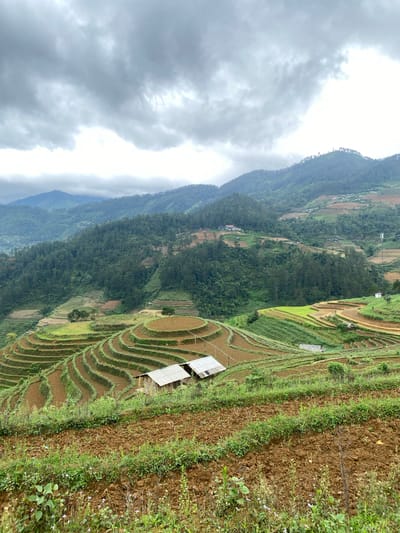 The image presents an expansive, overcast mountainous landscape featuring extensive agricultural terracing in Dế Xu Phình, Vietnam. The sky is largely covered by dense, dark gray clouds, with a brighter white patch visible towards the upper right. Multiple layers of mountains, heavily forested with dark green trees, recede into the hazy distance.

The midground and foreground are dominated by intricate terraced fields, carved into the hillsides. These terraces display varying states: some are vibrant light green, indicating active cultivation, while many others are reddish-brown, representing freshly tilled soil or fallow land. The terraces exhibit distinct curved and concentric circular patterns, adapting to the natural topography. The edges of the terraces are defined by narrow bands of green vegetation.

Within the terraced landscape, several human-made structures are visible. Two small, simple dwellings with light-colored, possibly metal, roofs are situated in the mid-left within a series of brown terraces. Additional scattered small buildings with similar roofs are present on the more distant, forested hillsides. A prominent, tall cellular or communication tower stands on a hillside in the mid-right.

The immediate foreground consists of rugged, reddish-brown soil intermixed with sparse green grasses, weeds, and small white and purple wildflowers. No people or specific human activities are depicted in the scene. The overall lighting is diffused and soft due to the overcast conditions.
