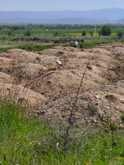 The image depicts a stork standing on a mound of dirt and gravel. In the foreground are overgrown grasses and a dead bush. Behind the mound, a green field is visible, bordered by a fence. In the background, rolling mountains are present. The location is Gara Elin Pelin, Bulgaria.