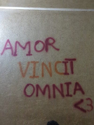 The image displays a close-up, rotated view of graffiti on a textured wall. The graffiti spells out "AMOR VINCIT OMNIA" and includes a heart symbol, all rendered in spray paint. The letters "AMOR" are in a deep pinkish-red hue, while "VINCIT" is in an orange shade. "OMNIA" and the heart symbol are in the same deep pinkish-red as "AMOR." The background wall has a light beige color with a repeating, irregular pattern. A thin, vertical white line runs along the left edge of the frame, possibly indicating a corner or a seam. The lighting suggests an indoor environment with no specific time of day discernible. The overall scene is static, focusing solely on the graffiti. No people or specific environmental details beyond the wall are visible.