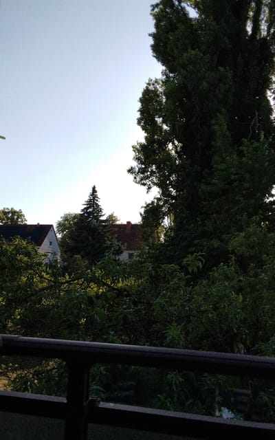 The image captures a serene daytime scene in Halberstadt, Germany. The foreground is dominated by a dark, horizontal railing, possibly part of a balcony or fence, which creates a sense of depth and frames the view beyond. Behind the railing, lush green foliage forms a dense canopy, with sunlight dappling through the leaves, suggesting it's either morning or late afternoon.
In the mid-ground, nestled amongst the trees, are two houses with red-tiled roofs. One house is white with a prominent gable, and the other appears to be larger and more obscured by the trees. A tall, conical evergreen tree stands prominently between the two houses, adding a distinct vertical element to the landscape. The sky above is a clear, pale blue, indicative of fair weather.
The overall impression is one of a peaceful, residential area on a pleasant day, with nature playing a significant role in the setting. The abundance of trees suggests a suburban or semi-rural environment. There are no visible people or specific activities taking place. The image evokes a sense of calm and natural beauty, with the houses blending harmoniously into the green surroundings. There is no visible text in the image.