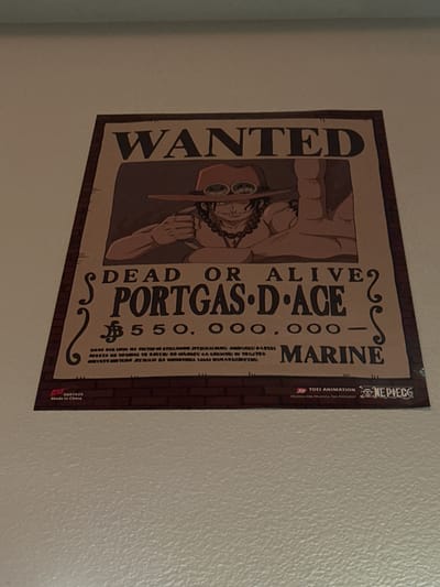A wanted poster for Portgas D. Ace from One Piece is displayed on a textured, off-white wall. The poster features an illustration of Ace wearing a hat and goggles, with the text "WANTED DEAD OR ALIVE PORTGAS D. ACE" and a bounty of "B 550,000,000". The bottom of the poster includes copyright information for Toei Animation and One Piece, as well as "Made in China". The poster is positioned in an indoor environment, likely a home or shop, in Lynnwood, United States. The lighting in the image is diffused, creating a slight glare on the poster.