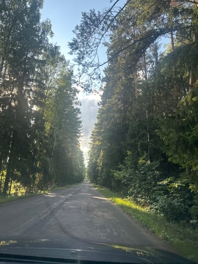 This is a photograph taken from inside a vehicle driving on a paved road in Kliukvennyi, Russia. The road is flanked on both sides by dense coniferous trees. Sunlight filters through the trees, creating dappled light and shadows on the road. In the distance, the road curves slightly and a white vehicle is visible. The sky is a clear blue with some wispy clouds. The foreground shows the dashboard of the vehicle.