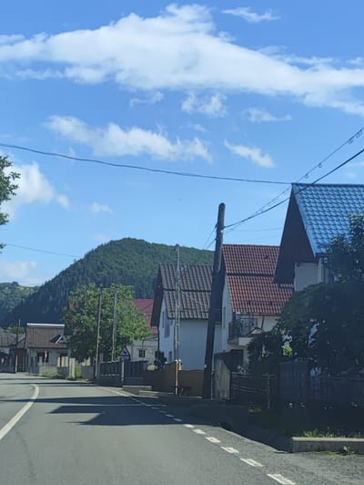 The image depicts a rural scene in Leordina, Romania, on a bright, sunny day with scattered white clouds. The foreground is dominated by a paved road curving to the left, marked with white dashed lines. The road is bordered by a low concrete curb and a grassy verge.
Along the right side of the road, a row of houses with terracotta tiled roofs and white or light-colored walls are visible. One house prominently features a bright blue tiled roof. A dark wooden fence runs along the property line of these houses. There are several trees, some with lush green foliage, interspersed between the houses and along the roadside. A weathered wooden utility pole stands beside one of the houses, with power lines stretching across the frame.
In the background, a steep, densely forested hill rises, its green slopes creating a natural backdrop to the village. The lighting suggests it is daytime, likely mid-morning or afternoon, given the clear blue sky and the shadows cast on the road. No people are visible in the image. The overall impression is one of a peaceful, everyday scene in a Romanian village.