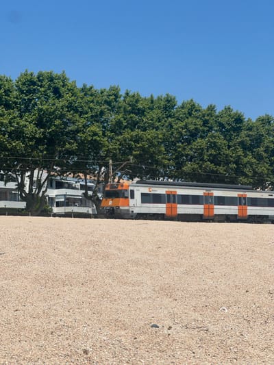 The image shows a train stopped next to a dense green tree and a building. The train is white with orange accents and has several windows. The building behind the tree appears to be multi-story with balconies. The ground in the foreground is covered in a light-colored gravel or sand. The sky is a clear blue, suggesting a sunny day. The image is oriented vertically, making the sky appear on the left side and the gravel on the right.

The overall scene depicts a train station or a railway line adjacent to a natural and urban environment. There are no people visible in the image. The train appears to be stationary, implying it is either at a stop or waiting. The presence of the tree and building suggests a developed area, possibly a town or city.

There is visible text on the side of the train, including "Rodalies" and what appears to be a number "312B". The time of day is likely daytime due to the bright lighting and clear sky. There are no strong emotional cues conveyed by the scene. The location context provided is Sant Pol de Mar, Spain, which aligns with a coastal town potentially having a railway line.