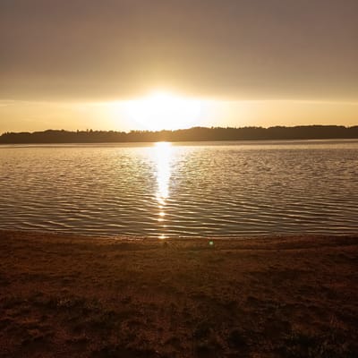 The image depicts a sunset over a body of water, likely a lake, with a silhouetted treeline on the horizon. The sun is low in the sky, casting a bright glare on the water's surface, creating a shimmering reflection. The foreground shows a sandy or earthy shoreline with sparse vegetation. The sky is hazy with warm, golden tones. The scene appears to be a natural landscape, possibly a park or recreational area, located in or near Jesenice, Czechia. There are no people or specific identifiable structures visible in the image.