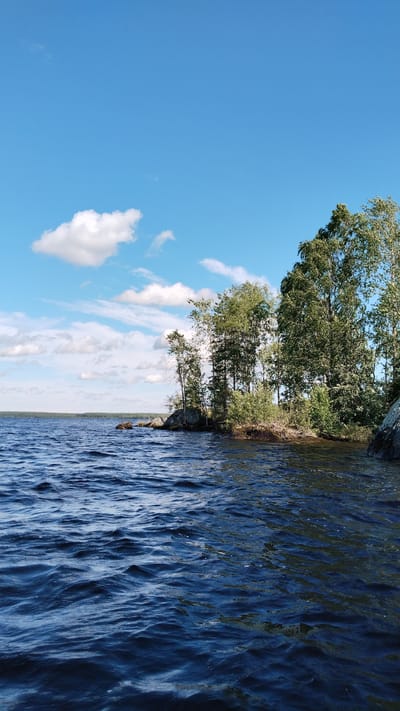 The image shows a natural scene of a body of water, likely a lake or a wide river, with a rocky shoreline and trees. The water is dark blue with visible ripples, suggesting a light breeze. On the right side of the frame, a rocky island or peninsula juts out into the water, covered with dense green trees and some bushes. The trees are tall and slender, with lush green foliage. The sky above is bright blue with scattered white clouds. In the distance, a flat, tree-lined horizon is visible across the water. The scene appears to be a serene, natural landscape, possibly in a rural or wilderness area. The location is identified as Nadvoitsy, Russia, a settlement in the Republic of Karelia, known for its proximity to lakes and forests. There are no people or man-made structures visible in the image.