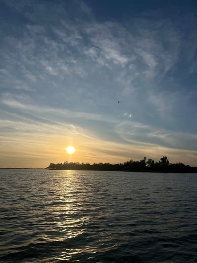 The image shows a serene waterscape at sunset. A clear, blue sky with scattered clouds transitions into a hazy, golden hue near the horizon where the sun shines brightly. The water reflects the sunlight, creating a shimmering effect. A dark treeline defines the horizon on the right side, separating the sky from the water. A small bird is visible in the sky near the top-left corner.