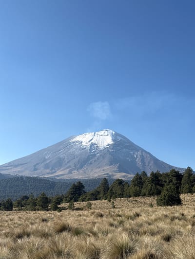 The image captures the landscape of Tlamacas, Mexico, featuring a snow-capped mountain under a clear blue sky. Along the mountain's lower slopes, a line of dark green trees contrasts with the adjacent field of tall, dry grass. A faint plume of smoke or steam rises from the upper part of the mountain. The scene lacks any discernible human presence.
