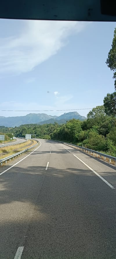 The media file shows a road winding through a mountainous, forested landscape in Ribadesella/Ribeseya, Spain. The viewpoint appears to be from a vehicle driving along the road. The road itself is asphalt with clear white lane markings, indicating it is a well-maintained route, likely a highway or a major road. A metal guardrail runs along the edge of the road, separating it from the steep, tree-covered hillside. The trees are lush and green, suggesting a temperate climate, possibly spring or summer.

In the background, imposing mountains rise, their slopes covered in dense vegetation. The sky is a bright, clear blue with scattered wisps of white clouds, indicating fair weather and likely midday. The lighting suggests it is daytime, with sunlight casting shadows from the trees onto the road.

On the left side of the road, there is a significant drop-off into a valley, also covered in trees. There are some traffic signs visible along the road, suggesting it's a public thoroughfare. There are no people or animals visible in the media. The overall scene conveys a sense of travel and exploration through a beautiful natural environment. The image is oriented vertically, with the road and landscape running from top to bottom.