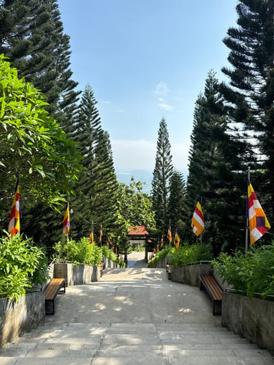 The image depicts a wide, outdoor stone staircase leading downwards. Tall, dark green pine trees line both sides of the staircase, with lush green foliage growing along the retaining walls. Several Buddhist prayer flags, in vibrant yellow, red, white, and blue, are planted along the sides of the path. Two wooden benches are visible, one on each side of the staircase. At the bottom of the stairs, a traditional Asian architectural structure with a red-tiled roof can be seen, possibly an entrance to a temple or shrine. The sky is clear and blue, indicating a sunny day. The scene appears to be a serene, sacred pathway in Thuận Nam, Vietnam, likely part of a Buddhist temple complex or a similar spiritual site.
