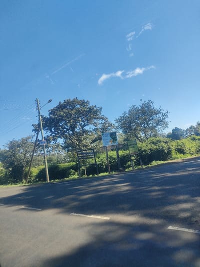 The image captures a roadside scene in what appears to be a rural or semi-rural area, under a bright blue sky with light clouds. The foreground is dominated by an asphalt road with lane markings. On the side of the road, there is a series of wooden signs advertising local businesses and attractions, including "SSA Memory Park" and "Landmarino Hotel," with a phone number and distance indicated. A power line with a leaning utility pole is visible to the left. Behind the signs, there is a dense line of green vegetation and trees. The scene is bathed in sunlight, creating shadows on the road. The OCR information suggests that the signs provide information on Landmarino Hotel (0752 111 112, 12.2 KMS). The text identifies the place as SSA Memory Park. It's hard to say what ward or municipality this is location is.