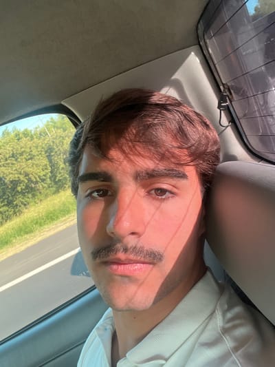 A man poses inside a vehicle. He has brown hair and brown eyes, and a mustache. He wears a white polo shirt. Sunlight illuminates his face from the right side, casting a shadow across his nose and cheek. A partially visible roadside landscape appears through the window. The car's interior includes a grey headrest and a sunshade on the back window.