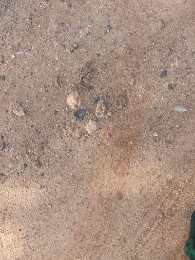 The image shows a close-up, overhead view of a patch of dry, sandy ground with small pebbles and debris scattered across it. The ground appears to be a light brown or tan color, with variations in shade due to the different components. There are many small, light-colored grains of sand mixed with darker, irregular-shaped stones and small rocks of various sizes. Some larger rocks are also visible, including one light-colored, angular stone in the lower left quadrant and another rounded, darker stone slightly above and to the left of center. There are also a few scattered pieces of darker debris, possibly dried plant matter or small fragments of other materials. One notable object is a small, light-colored, triangular piece of what appears to be broken ceramic or glass, located near the top center of the image. The lighting suggests it is daytime, with shadows cast by some of the larger stones indicating the direction of the sun, likely from the upper left. The overall impression is of an outdoor, unpaved surface, possibly a dirt road, path, or barren ground in a dry environment. There is no visible text. The location is specified as Wauro Jabbe, Nigeria.