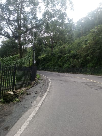 A curving asphalt road lined by lush green vegetation and towering trees under a cloudy sky. A black metal fence runs along the road's edge, juxtaposed with a large rock. A utility pole stands near the fence. The road surface shows signs of wear. The landscape gives a sense of a tranquil, forested area.