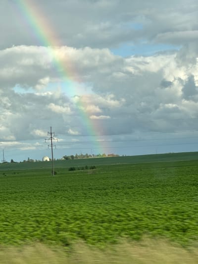 The image depicts a rural landscape under a cloudy sky with a prominent rainbow arching across the upper portion. The foreground is dominated by a vast, green field, likely agricultural, with a sense of motion blur suggesting the photograph was taken from a moving vehicle. In the mid-ground, a series of power lines are strung between utility poles, one of which is a prominent feature on the left. Beyond the field and power lines, a gentle slope rises, dotted with trees and a distinctive white, domed structure, possibly a radar station or a scientific facility. The sky is a mix of grey and white clouds, with patches of blue sky visible, and the rainbow displays a spectrum of colors. The overall impression is one of a scenic, possibly post-rainy day in a countryside setting. The specific location within Borskoe, Russia, is not visually indicated in the image itself.