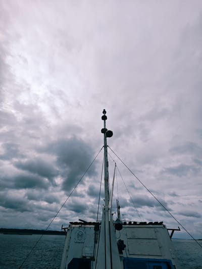 A low-angle, full shot captures the top of a boat sailing on dark, choppy water under a heavily clouded sky. The boat's deck is visible in the foreground, with a white structure and some equipment. A tall mast extends upwards, topped with a bird perched on a circular object. The horizon shows a dark line of trees, indicating land in the distance. The scene appears to be a port in Zotino, Russia, on a gloomy, overcast day.