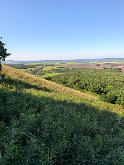 This is a photograph taken from an elevated position overlooking a vast, rural landscape. The foreground is dominated by lush, green vegetation, with tall grasses and leafy plants casting long shadows. A steep, grassy slope, partially covered in dry, golden grasses, descends from the right foreground towards the middle ground. In the middle ground, a verdant forest stretches across the terrain, interspersed with agricultural fields of varying colors, including brown and yellow. A small body of water, possibly a lake or river, is visible nestled within the landscape. In the distance, rolling hills and mountains are faintly visible under a clear, pale blue sky. A single, dark-leaved tree is positioned on the far left edge of the frame, partially obscuring a dark vertical structure. The overall impression is one of a serene, natural environment under bright daylight. The image is identified as being taken in the city of Akhmerovo, Russia.