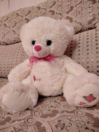 A fluffy white teddy bear sits on a patterned couch. The bear has black button eyes, a pink heart-shaped nose, and a pink bow with white polka dots around its neck. There is a small embroidered pink flower on the bear's chest and the word "Love" embroidered with a pink rose on its right paw. The couch has a textured, ornamental pattern in shades of beige and brown. The lighting suggests an indoor setting. The location in Chișcăreni, Moldova is not discernible from the image.