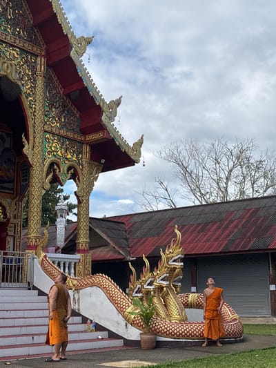 The scene depicts a Buddhist temple in Ban Mae Na Chalong, Thailand, under a cloudy sky. Two Buddhist monks, clad in orange robes, are present. The monk on the left stands at the base of a stone staircase, facing right and looking upward. The monk on the right stands on a grassy area to the right of the stairs, looking directly upward with his mouth slightly open. The primary structure is an ornate temple building with a red multi-tiered roof featuring extensive golden trim and decorative elements. The staircase leading to the temple entrance is flanked by a large, golden multi-headed naga (serpent) sculpture serving as a balustrade, with red scale patterns. A potted green plant is positioned near the base of the naga sculpture. In the background, to the right of the main temple, a building with a dark red corrugated metal roof and two closed roller doors is visible. Bare tree branches are silhouetted against the cloudy sky in the upper right quadrant. Minor refuse, including plastic bottles and wrappers, is visible on the lower steps of the staircase.