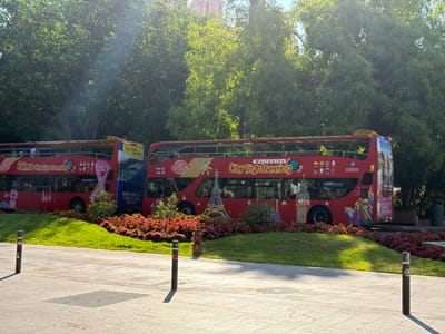 The image shows two red double-decker "City Sightseeing" tour buses parked side-by-side on a sunny day in Palma, Spain. The buses are decorated with various iconic landmarks such as the Eiffel Tower, the Statue of Liberty, and Big Ben, along with the "Palma Aquarium" logo. The buses are parked in front of lush green trees and a garden bed with pink and red flowers. The foreground consists of a paved walkway with a metal grate and two dark bollards, one casting a distinct shadow. In the background, the sun is shining brightly through the leaves of the trees, creating a lens flare effect. The scene appears to be a typical tourist stop in the city of Palma.