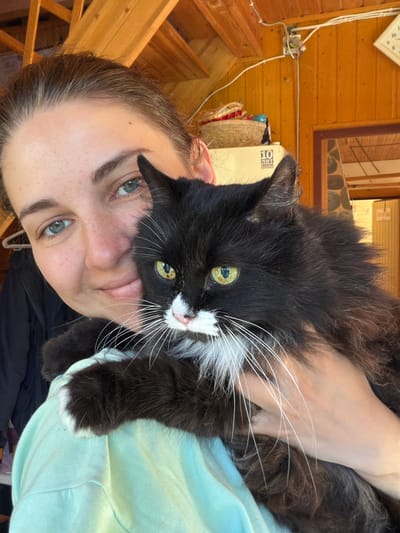 A woman with brown hair pulled back and green eyes, speckled with freckles, holds a long-haired black and white cat. The cat has striking yellow-green eyes and long white whiskers. The woman is wearing a light blue hoodie. They are indoors, in what appears to be a rustic room with wooden walls and exposed wooden ceiling beams. A basket is visible on a shelf in the background, as well as a clock on the wall. The scene is lit by natural light.
