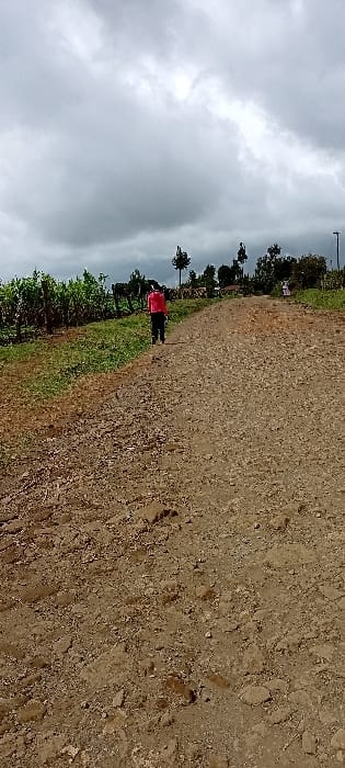 The scene depicts an unpaved dirt road in Gatakaine, Kenya, under an overcast sky with dense grey clouds. The road, composed of reddish-brown soil and small stones, extends from the foreground into the mid-ground, gradually ascending. On the left side of the road, green vegetation, possibly crops, extends into the distance. A single individual is visible in the mid-ground, walking away from the camera, centered on the path. This person is wearing a bright pink or red long-sleeved top and dark trousers. Trees and scattered bushes line both sides of the road in the mid-ground and background. A smaller, less distinct figure or object is present on the right side of the road in the far background, near a faint vertical structure resembling a utility pole. No direct interactions are occurring between individuals.
