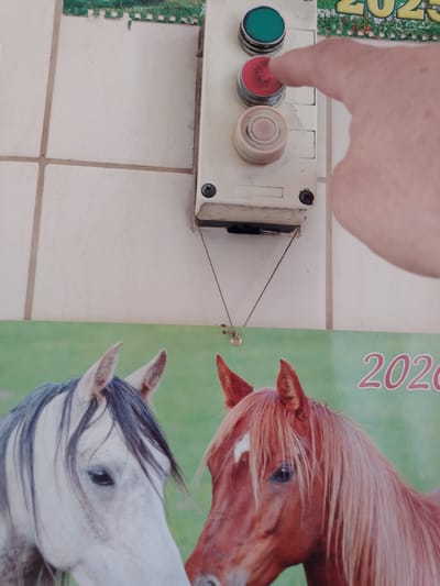 A close-up, slightly angled shot shows a hand pressing a red button on a control panel. The control panel, a beige plastic box mounted on a tiled wall, has three buttons: a green one at the top, a red one in the middle being pressed, and a light brown one at the bottom. Below the control panel, a calendar featuring two horses, one white and one brown, is hanging. The calendar displays the year "2020" in large pink numbers. The environment appears to be indoors, with white tiled walls and a hint of green in the background of the calendar image. The scene does not provide specific information to determine its exact location within Krasny Yar, Russia, or any particular details about the individuals involved.