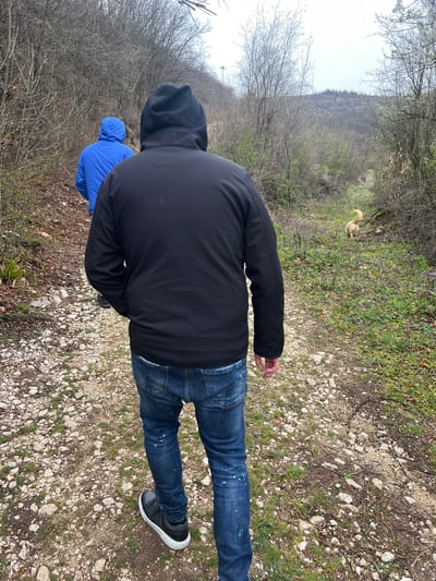 The image depicts two individuals and a canine walking along an unpaved, gravel and dirt path through a wooded area within Despotovac Municipality, Serbia. The perspective is from behind the closest individual, who wears a black hooded jacket, distressed blue jeans with white paint splatters, and black sneakers with white soles. Ahead of this individual, a second person walks in a bright blue hooded jacket and dark trousers. A light brown dog with a curled tail is positioned on the right side of the path, further in the distance. The path is bordered by dense vegetation consisting primarily of leafless deciduous trees and shrubs, with patches of green grass and small purple flowers on the ground. A bush with white blossoms is visible on the right. In the background, a hillside covered with sparse trees rises under an overcast sky, with a cluster of evergreen trees visible at the peak.