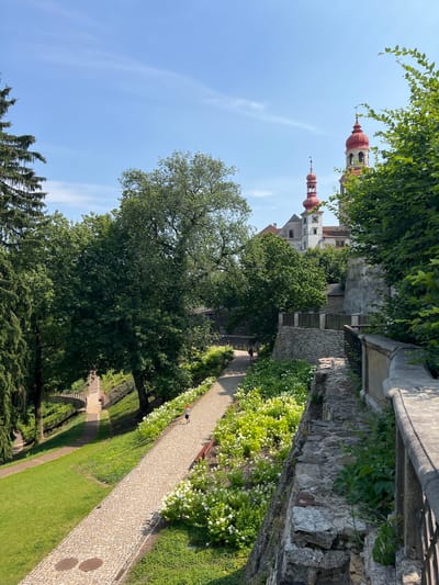 The image depicts a view of Náchod Castle in Náchod, Czechia. A cobblestone path winds through a park-like setting, bordered by lush greenery and white flowers. Several trees are scattered throughout the scene, casting shadows on the path. In the background, the castle's distinctive red-roofed towers and white walls are visible against a clear blue sky. A few individuals are seen walking along the path, enjoying the pleasant weather. The perspective is from a higher vantage point, looking down and across the park towards the castle.