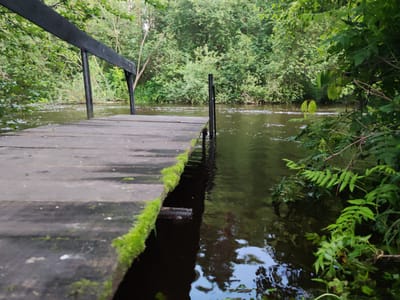 An outdoor, low-angle, medium shot captures a weathered wooden pier extending into a dark, calm body of water, likely a river or lake, surrounded by dense, lush green foliage. The pier, constructed from thick wooden planks, is partially covered with vibrant green moss along its edge, particularly on the left side of the frame. Two dark, cylindrical posts support a black railing that runs along the left side of the pier, disappearing into the background. The water reflects the overhanging trees and the sky, creating dappled patterns on its surface. Small white flecks, possibly foam or debris, are scattered across the water. The environment suggests a natural, serene setting, potentially a park or a secluded waterfront area. The location is identified as Kashino, Russia.
