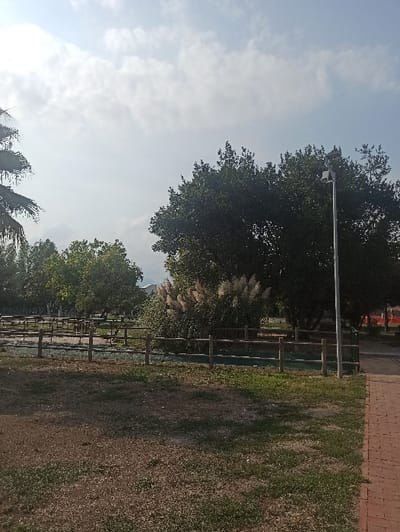 The image depicts a public park or recreational ground located within the city of San Marzano sul Sarno, Italy, under a partly cloudy daytime sky.
The scene is an outdoor environment with diverse vegetation and constructed elements. In the foreground, a patch of partially dry grass with scattered green growth occupies the lower left. Extending across the mid-ground is a low wooden fence constructed from horizontal logs supported by vertical posts. Beyond this fence, to the left, is an area with dark ground, possibly dirt or sand, where a low-lying, multi-component playground structure, appearing to be a slide or climbing frame, is visible.
Dominating the mid-ground from center to right is a large cluster of tall, feathery, light-colored plumes, consistent with Pampas grass, positioned in front of a dense, dark green tree. Another large, dark green, broadleaf tree stands prominently in the mid-to-upper right portion of the frame. To the far left, a portion of a palm tree with dark, fringed fronds is visible. Various other green trees with dense foliage are present in the background, including a distant view of hills or mountains partially obscured by haze.
On the right side of the image, a vertical section of a red brick-paved path runs parallel to the frame's edge. A tall, light-colored metal lamppost with a light fixture at its apex stands just to the left of this path. The sky above is bright, with scattered white cumulus clouds. No individuals, animals, or vehicles are present in the observed area.