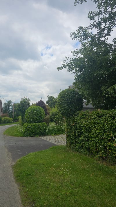 This is a vertical, eye-level, full-shot photograph taken from a low vantage point, depicting a rural road curving to the left in Boussu-lez-Walcourt, Belgium. The sky is overcast with thick, gray clouds, interspersed with patches of lighter sky. A large, leafy tree dominates the upper right quadrant of the image, its branches extending over a dense, well-maintained green hedge that forms the right edge of the frame.
In the mid-ground, a paved pathway made of cobblestones leads to a house, partially obscured by foliage. Several meticulously sculpted bushes and trees are arranged to the left of the pathway. One prominent bush is shaped into a sphere, stacked atop another smaller sphere. Behind it, a darker, conical-shaped bush or tree is visible.
The road itself appears to be asphalt, with a narrow strip of green grass bordering its left side. This grass has small white flowers scattered throughout. The overall scene conveys a sense of a neatly kept residential area amidst a natural setting, under a cloudy sky. No people or animals are visible in the image.