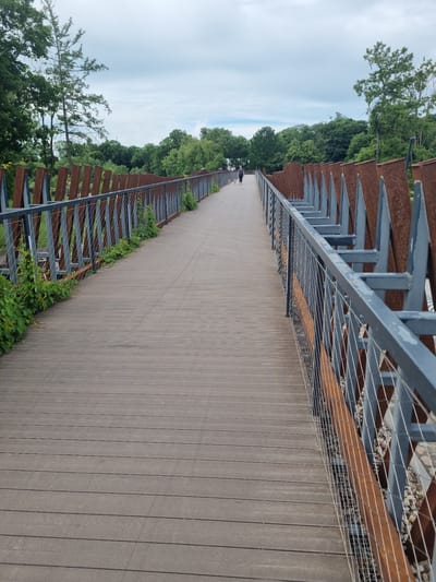 A person and two dogs walk away from the viewer on a wooden pedestrian bridge. The bridge has a distinctive metal railing with angled, rust-colored vertical elements and a grey metal top rail, with wire mesh infill. Green vegetation grows along the base of the railing. The bridge curves to the right as it extends into the distance. Beyond the bridge, a dense line of green trees forms the background. The sky is overcast with white and grey clouds. The scene is outdoors, likely in a park or natural area.