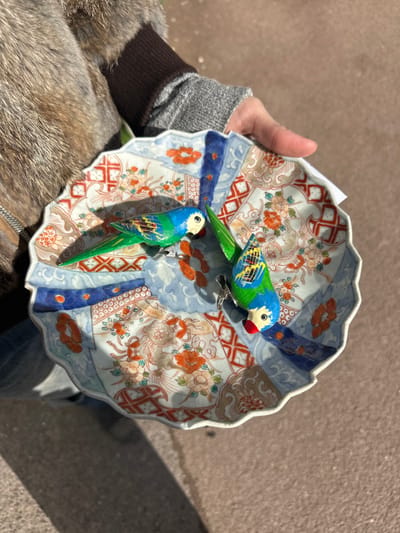 In Neuilly-Plaisance, France, an individual is observed outdoors, holding a decorative, multi-colored ceramic plate. The plate, exhibiting a scalloped edge and intricate patterns of florals, geometric shapes, and waves in blue, orange, red, green, and brown, is supported by the person's right hand. The individual wears a brown fur or faux-fur jacket over a gray ribbed-cuff garment, with blue denim visible below. Two small, brightly colored parrot figures rest on the plate, each affixed with a silver-colored metal clip. These figures are predominantly blue and green with yellow/white faces and red beaks; one parrot is oriented left, the other angled sharply downwards right. The scene is illuminated by strong sunlight, casting distinct shadows onto a light brown/grey ground surface, consistent with concrete or asphalt.
