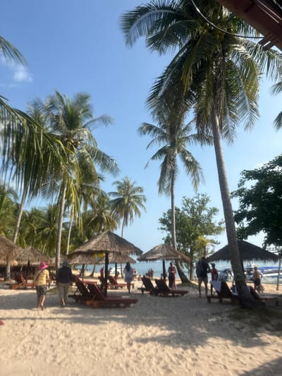 This image depicts a beach environment at Ban Khlong Hia, Thailand. The scene features a sandy shore under a clear blue sky with minimal cloud cover. Numerous tall palm trees with green fronds and visible coconuts are dispersed throughout the frame, casting shadows on the sand.

In the mid-ground, six thatched beach umbrellas are arranged, each accompanied by multiple wooden lounge chairs fitted with dark red cushions. Approximately 15 individuals are present on the beach. In the left foreground, two individuals walk away from the viewer; one wears a yellow top and a pink wide-brimmed hat, the other a dark top and light trousers. Towards the center-left, a person in a light-colored garment walks towards the water. On the right mid-ground, several individuals are gathered near the water's edge; one person in a dark shirt and shorts with a backpack stands near another in a red shirt. Other individuals are indistinctly visible closer to the water.

The background shows a calm body of water, likely the sea, with several small boats partially visible near the shoreline on the right. Additional green foliage is present behind the beach umbrellas. Utility wires are partially visible in the upper right section of the image. The scene is illuminated by bright daylight.