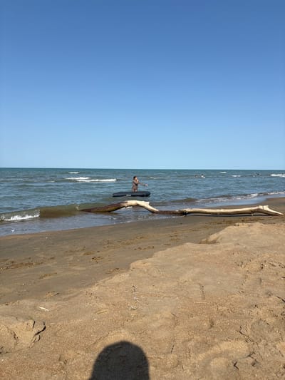 A person is standing in the water near a beach. The person is holding a black inflatable object. A large piece of driftwood is on the sand at the edge of the water. The sky is clear and blue. The image does not provide enough information to determine the location in the city of Avadan, Russia.