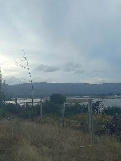 A hazy landscape featuring mountains in the background. A body of water reflects the sky. A barbed wire fence bisects the scene, running horizontally across the lower portion. Tall, dry grass dominates the foreground, while sparse trees and shrubs are visible beyond the fence. The sky is overcast, with a mix of clouds and bright areas. A bare tree branch reaches into the sky from the lower left corner.