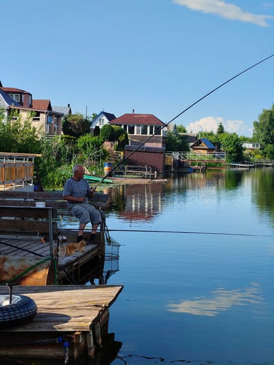 A man is fishing from a wooden pier on a sunny day. He is seated on a wooden bench, holding a fishing rod. A ginger cat is lying on the pier near him. In the background, there are several houses and trees lining the shore of a calm body of water. The sky is blue with a few white clouds. The time of day appears to be afternoon. The scene is tranquil and suggests a leisurely activity.