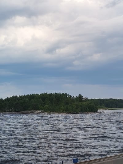 A body of water with moderate waves is in the foreground, leading to a rocky shore lined with dense green trees that form a treeline. The trees are mostly coniferous, with some deciduous trees interspersed. Behind the treeline, the land appears to slope upwards. The sky is overcast with a mix of gray and white clouds. The image is taken from a slightly elevated perspective, possibly from a boat or a pier. No people or man-made structures are visible in the immediate vicinity of the trees and water.