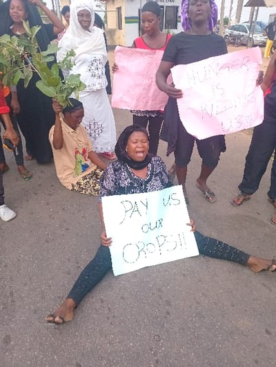The image shows a protest in Ungwan Tanko, Nigeria, at the coordinates 10.422 latitude, 7.49 longitude. Several women are holding signs that read "Hunger is killing us" and "Pay us our crops!!". One woman is sitting on the ground with her legs spread out in front of her, holding the latter sign. The other women are standing behind her. There are several other women standing around them. They are all dressed in simple clothing, and some are wearing hijabs. The background shows a street with some buildings and cars. The environment appears to be an open area, possibly in front of a government building. The women are protesting against a lack of payment for their crops, suggesting a potential issue with agricultural policies or financial support. The action of the protest suggests a serious concern for the women's livelihood and a call for immediate attention from authorities.
