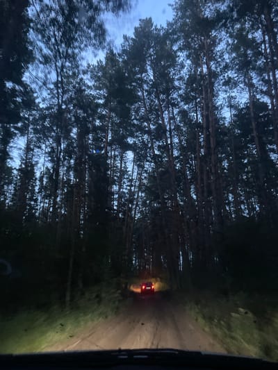 The image depicts a view from inside a vehicle driving on a dirt road through a forest at dusk. Tall pine trees line both sides of the road, their dark silhouettes contrasting with the pale blue sky visible through the canopy. The road is illuminated by the vehicle's headlights, casting a bright beam forward and illuminating the dusty track. Further down the road, another vehicle with its taillights illuminated is visible. The overall atmosphere is dark and somewhat eerie, typical of a forest road at twilight. The location is identified as the city of Yekaterinovka, Russia.