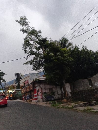 The image depicts a street scene in Phước Hòa, Vietnam, under an overcast, gray sky. A dark asphalt road curves gently uphill from the foreground towards the left. On the left side of the road, a red hatchback vehicle is positioned with its taillights illuminated, facing away from the viewer.
To the right of the road, a single-story, weathered commercial building stands with its facade extensively covered in signs and posters, including sections painted with red and white vertical stripes. A blue container is visible near the base of this structure. Adjacent to the building, a low stone wall separates it from an elevated earthen area and a concrete wall.
Multiple trees are prominent. A tall, leaning tree with a broad crown extends its branches over the road towards the left. Denser green foliage and other trees are situated behind and to the right of the commercial building. Above these, several dark utility lines stretch horizontally across the upper portion of the frame. In the distant background, multi-story buildings with light-colored exteriors are visible on elevated terrain, backed by indistinct hills or mountains. No individuals are present in the scene.