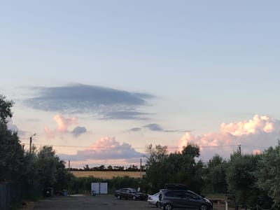 This image depicts a sunset scene in Blagoveshchenskaya, Russia. The sky is a pale blue with scattered clouds that are tinged with pink and orange hues, suggesting the time is late evening. In the foreground, a paved area shows several parked cars, including a dark grey SUV with a roof box, a lighter grey sedan, and a dark sedan. To the left, a green fence and some trees line the edge of the paved area, with garbage bins visible. Beyond the cars and trees, a field of golden crops stretches across the middle ground, bordered by a line of trees in the distance. The background features a row of trees and vegetation against the colorful sky. A lamppost is visible to the left of the frame. The overall impression is a serene, rural landscape at dusk.