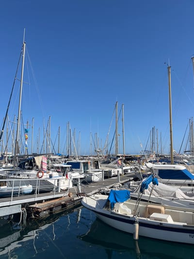 A marina in Lomo Quiebre, Spain (latitude: 27.817, longitude: -15.766), filled with sailboats and motorboats, is shown on a bright, sunny day with a clear blue sky. The boats are docked side by side, with their masts extending high into the air. Some are in a row on the water, others at the dock. There are some small boats with the sailboats and a few people working on the boats, but no people are visible in the photo. Some boats are in the foreground, with the rest of the boats further away, all lined up neatly in rows. The water is calm and blue, with reflections of the boats and the sky. The wooden dock is wet from the sea spray, with a few wooden planks missing. The boats are all white, with some with blue and red trim, and they are all in good condition.