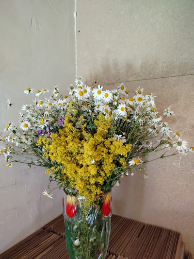 A bouquet of wildflowers, primarily daisies and yellow-flowered plants, is displayed in a clear glass vase with red and yellow accents. The vase rests on a surface made of narrow wooden planks. The background consists of a textured, light-colored wall on the left and a beige, wood-like panel on the right. The lighting appears to be natural, coming from the front. This scene is indoors, likely in a residential setting.